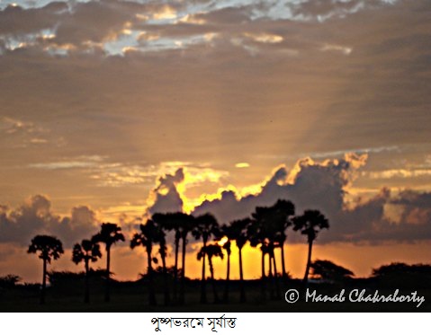 Sunset at Puspavaram
